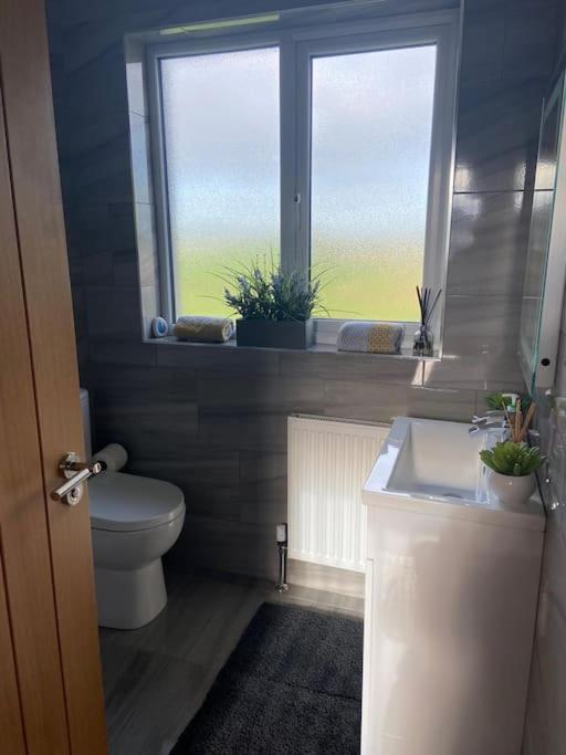 'Little Acre' Perfect For Business Or Pleasure Apartman Portadown Kültér fotó